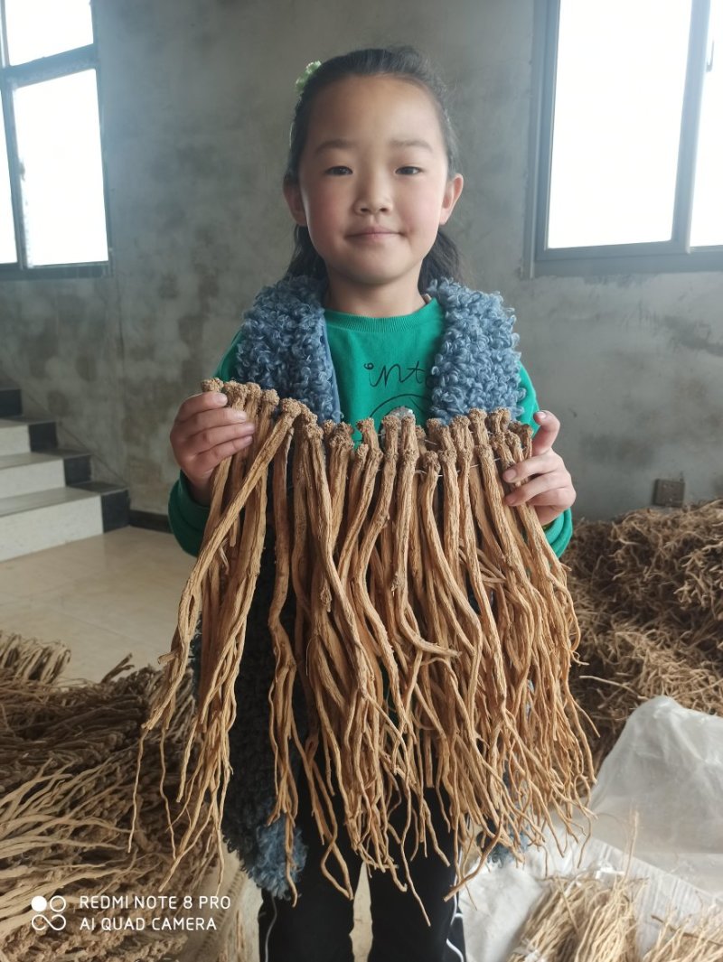 【精选】甘肃岷县白条党参，大党参，无硫干货，产地直供，量