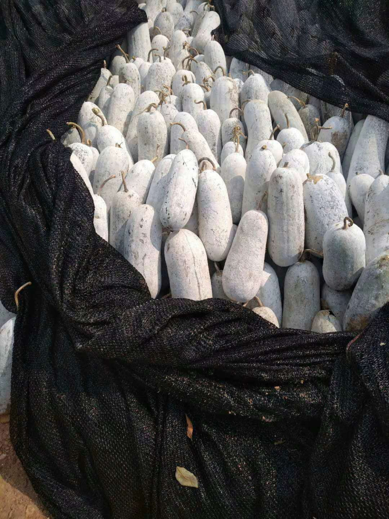 香东瓜便宜处理