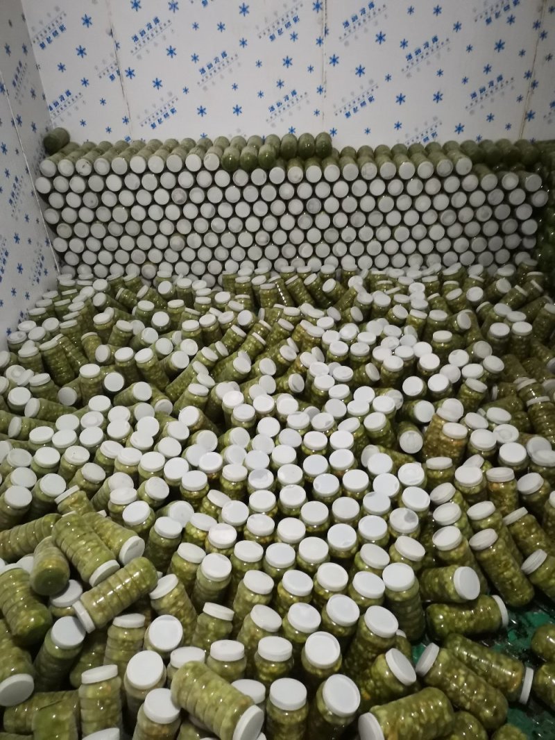 豆丹瓶装开始预订冻虫包运费