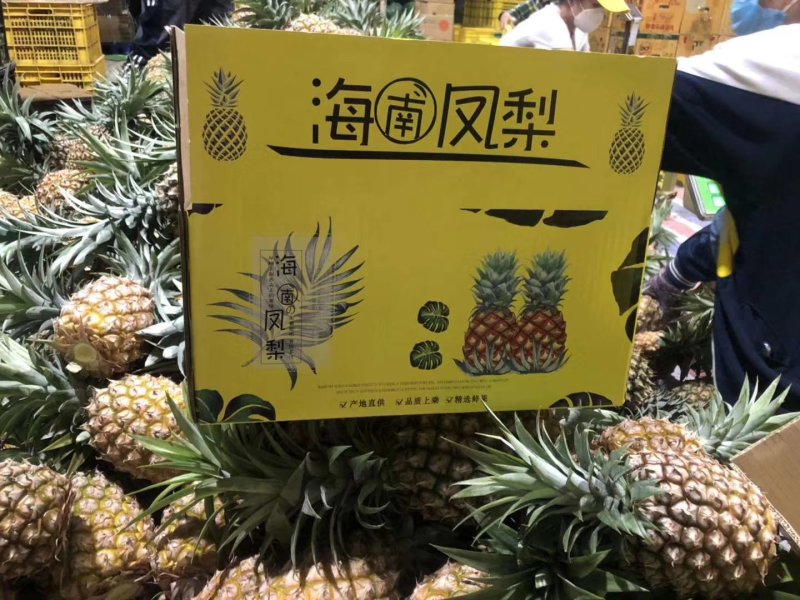 凤梨，17，16，22号