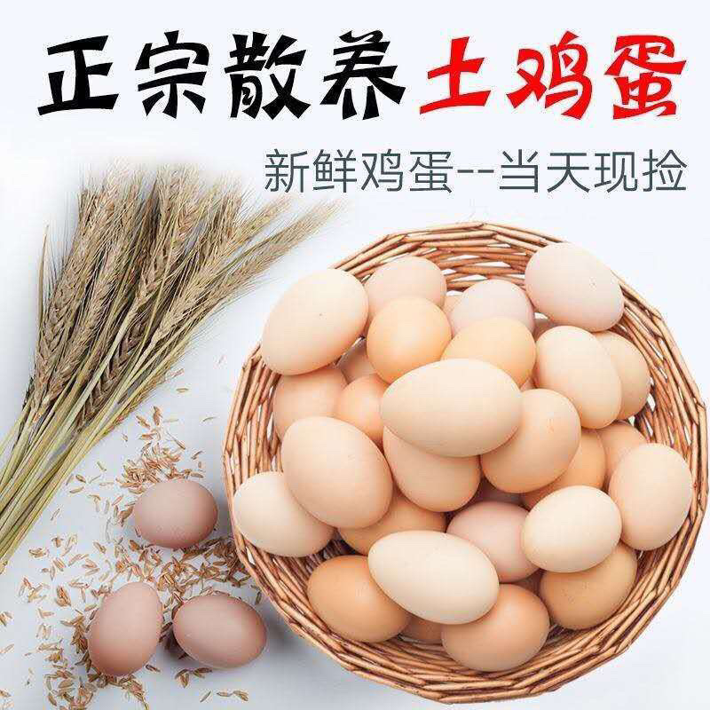 农家散养土鸡蛋当日现捡现发草鸡蛋笨鸡蛋一件代发包邮