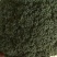 西兰花新野县蔬菜种植基地大量出货中，货源充足品质有