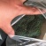 西兰花新野县蔬菜种植基地大量出货中，货源充足品质有