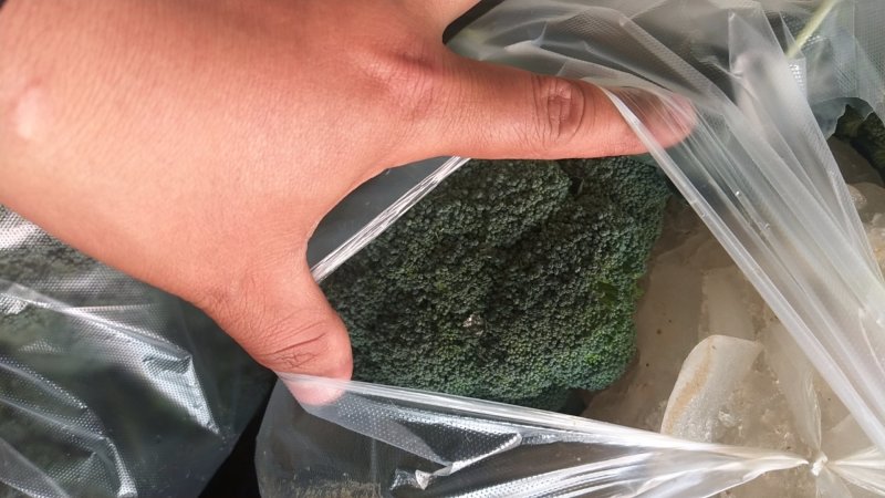 西兰花新野县蔬菜种植基地大量出货中，货源充足品质有