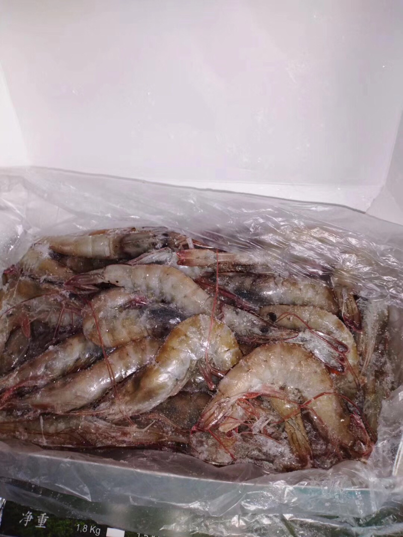大虾个大肉多热销