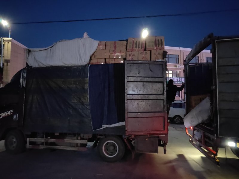 精品黄瓜旱黄瓜产地专业代办耐运输耐储存鲜花带刺