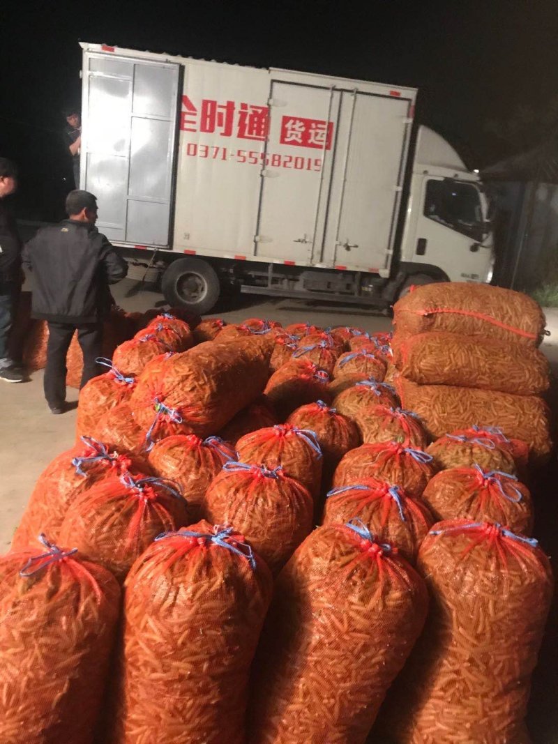 河南南阳豌豆荚饱满、无斑，量大从优，豌豆荚6～8厘米