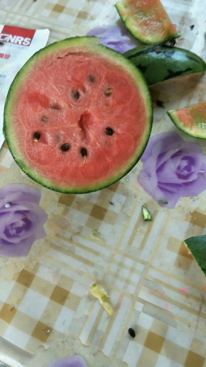 早春红玉