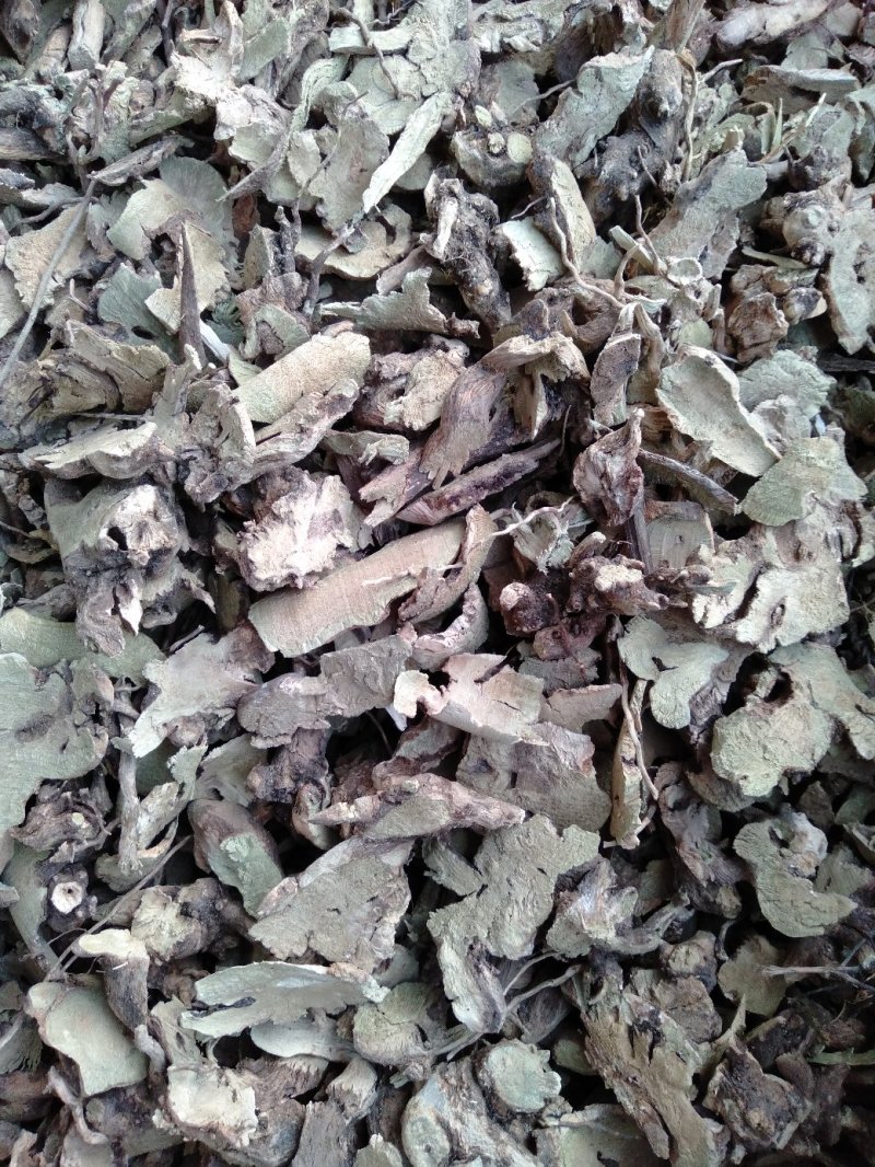 通货，大货香茶菜（铁菱角），秦东地产药材欢迎您的选购！