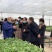 山东育苗基质50%(0-0-0)15kg(袋装