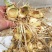 新鲜野生多花姜形黄精