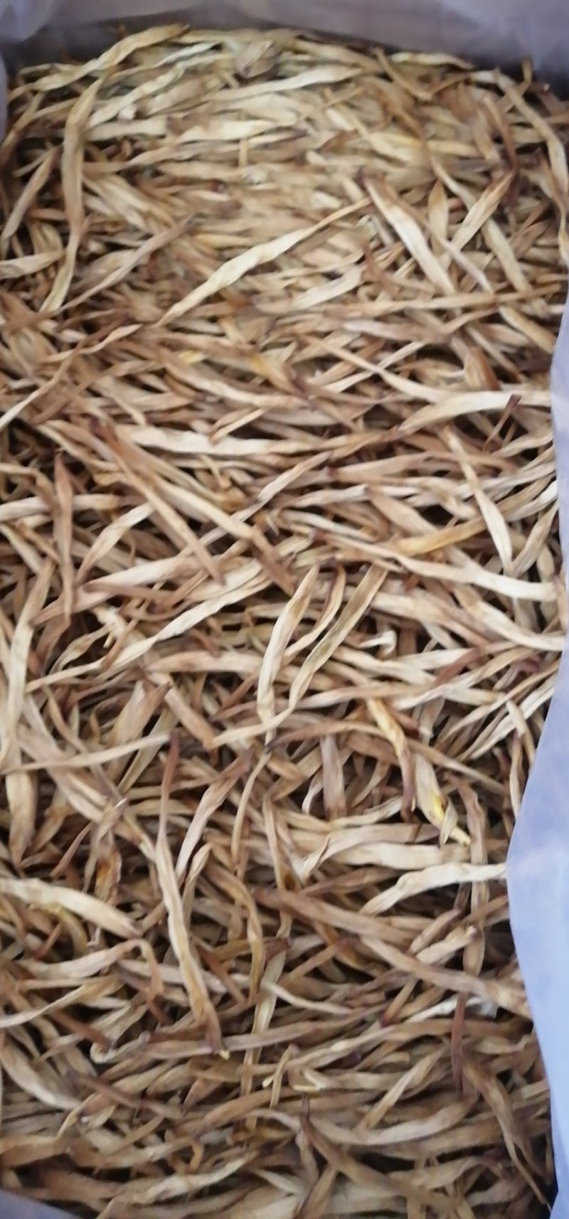 包邮，甘肃农家锅蒸黄花菜，硬条七蕊，偶含熟条，包邮保退，