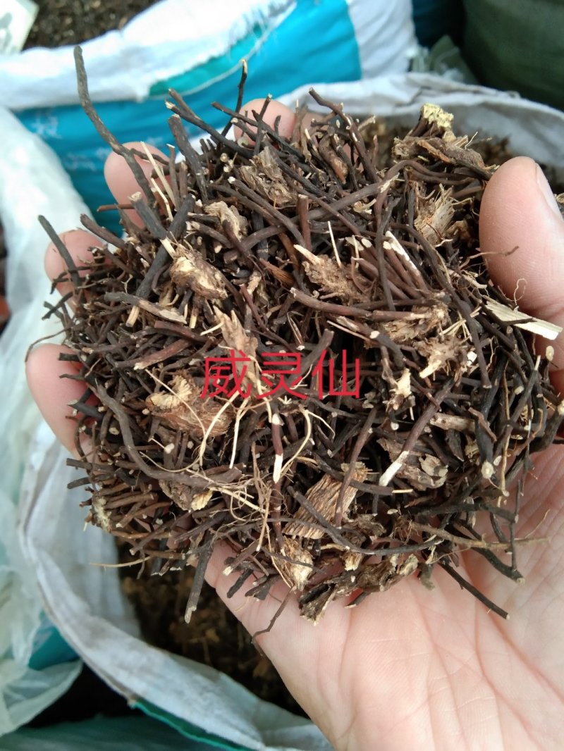 威灵仙