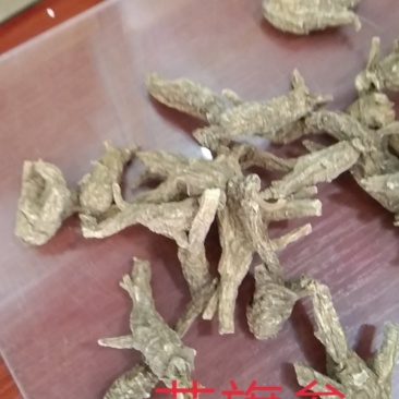 花旗参个子，花旗参片子，精品大货