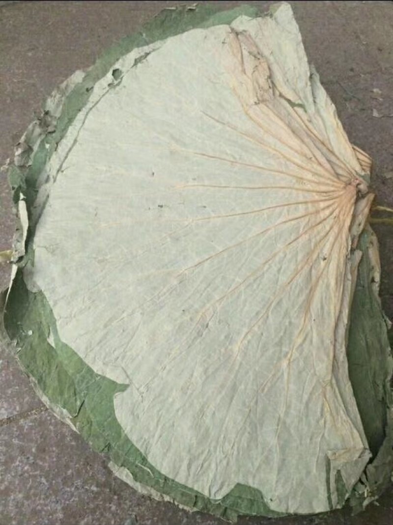 荷叶，统货丝，统货个子，选货个子，荷叶方块，荷叶粒