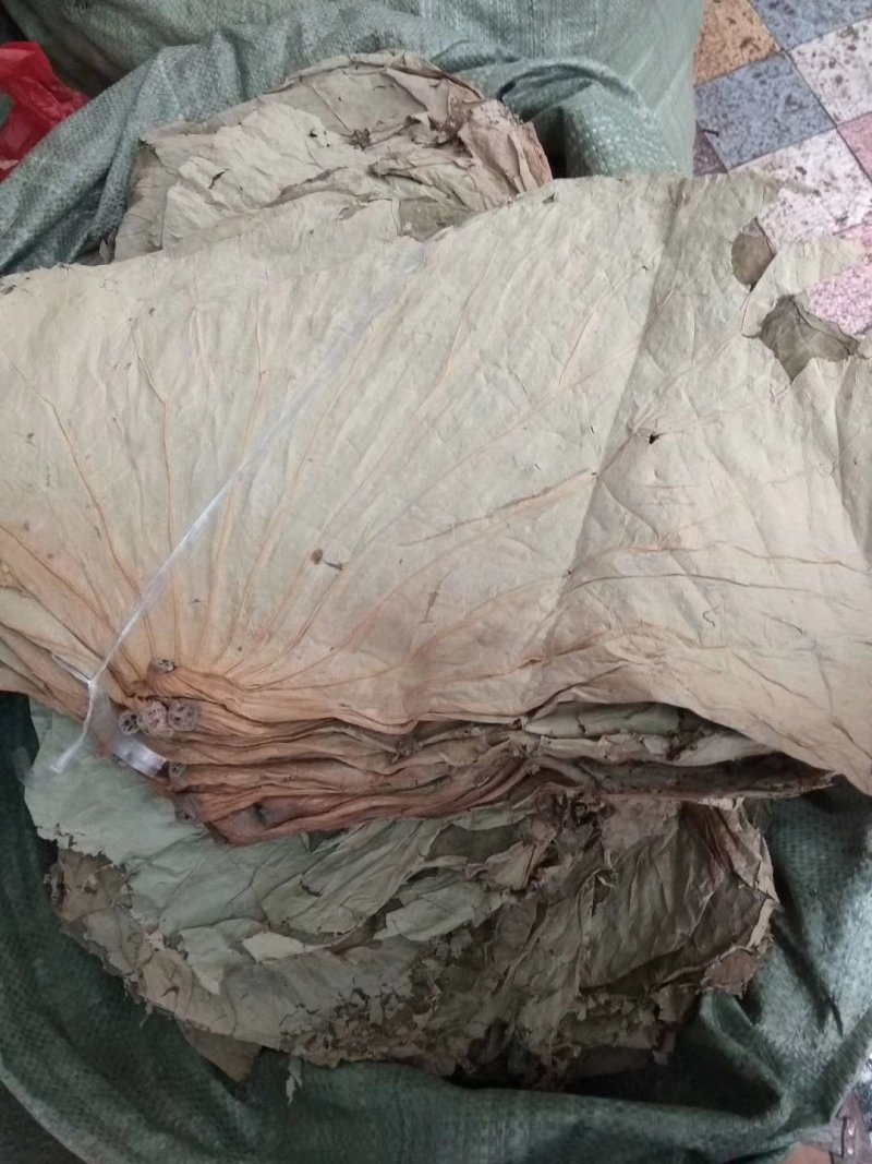 荷叶，统货丝，统货个子，选货个子，荷叶方块，荷叶粒