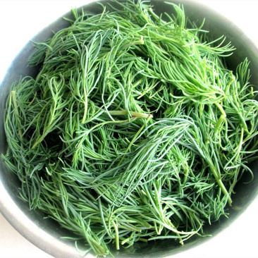 黄须菜-皇席菜/碱蓬菜/产地直发