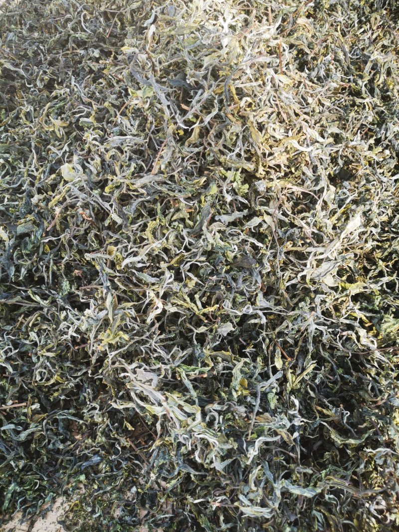 茶普洱茶