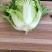 河北定州黄心大白菜种植基地