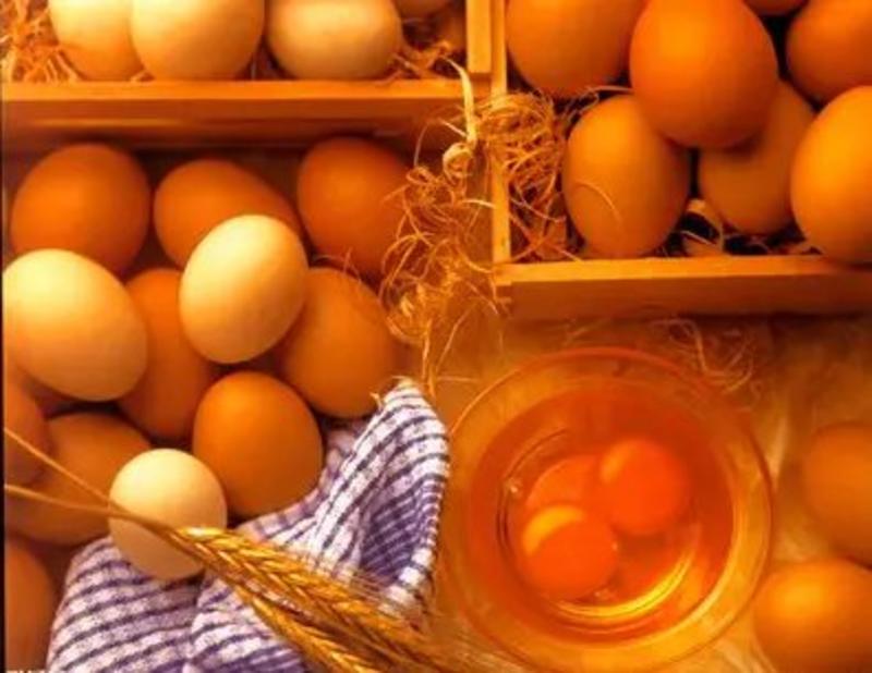 【粉蛋】禽蛋购销合作社，常年供应，破损包赔，一手货源