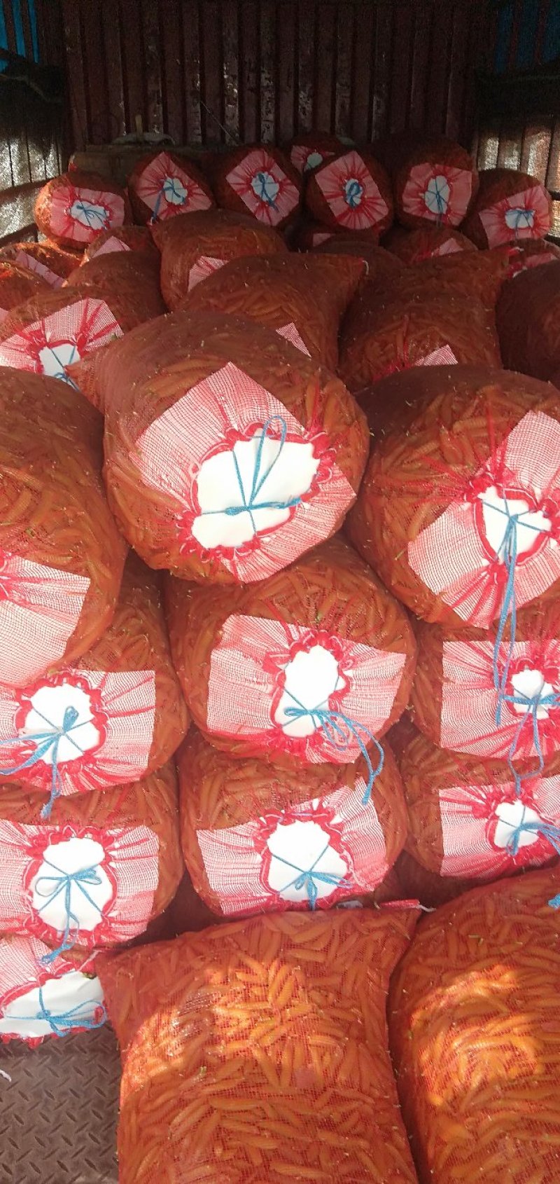 豌豆荚大量上市，现摘现装，大量供应市场，电商，社区团购
