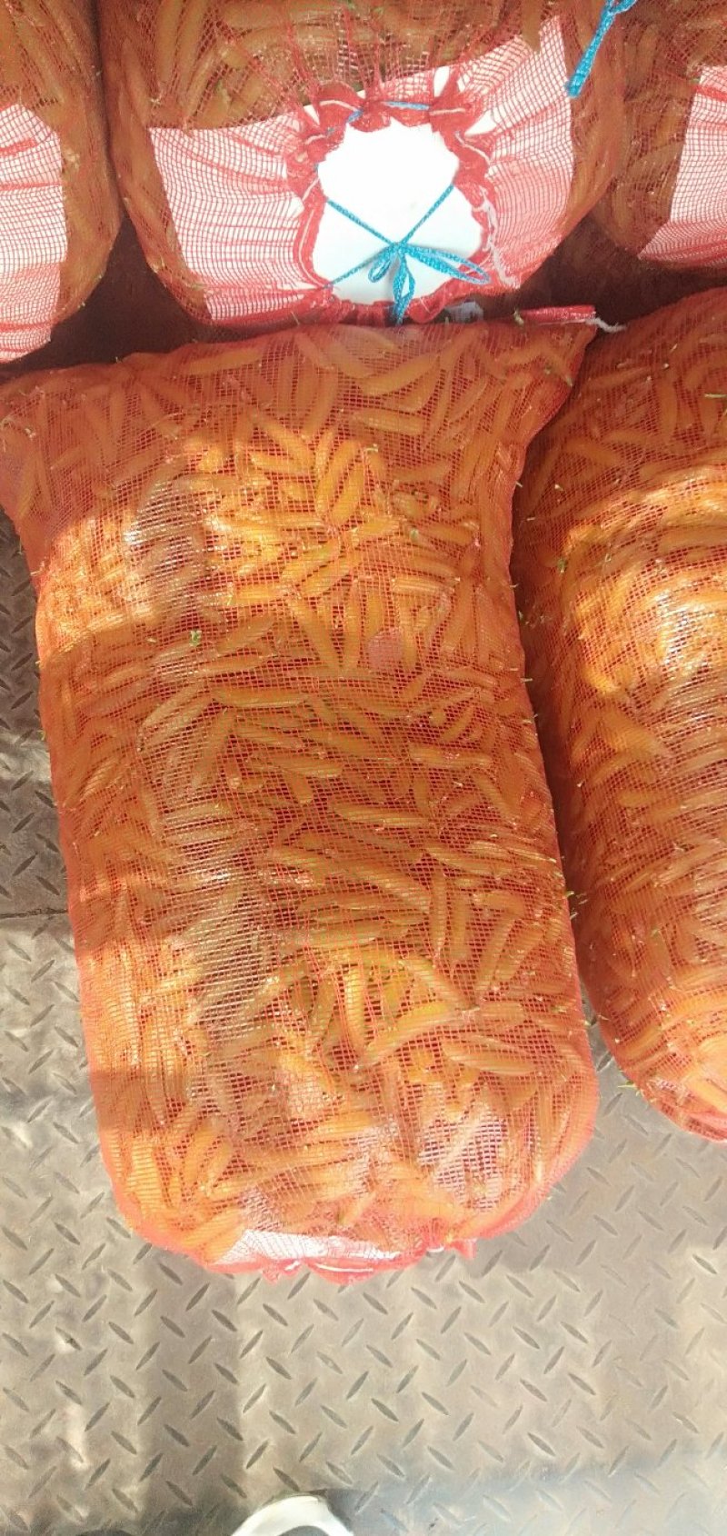 豌豆荚大量上市，现摘现装，大量供应市场，电商，社区团购