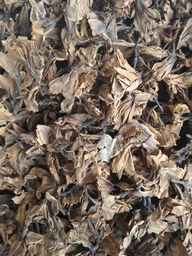 鸡蛋花，印尼鸡蛋花，蛋黄花干凉茶饮料原料