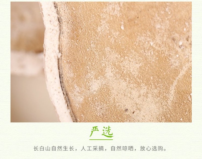 东北长白山特产白灵芝散装野生灵芝产地批发