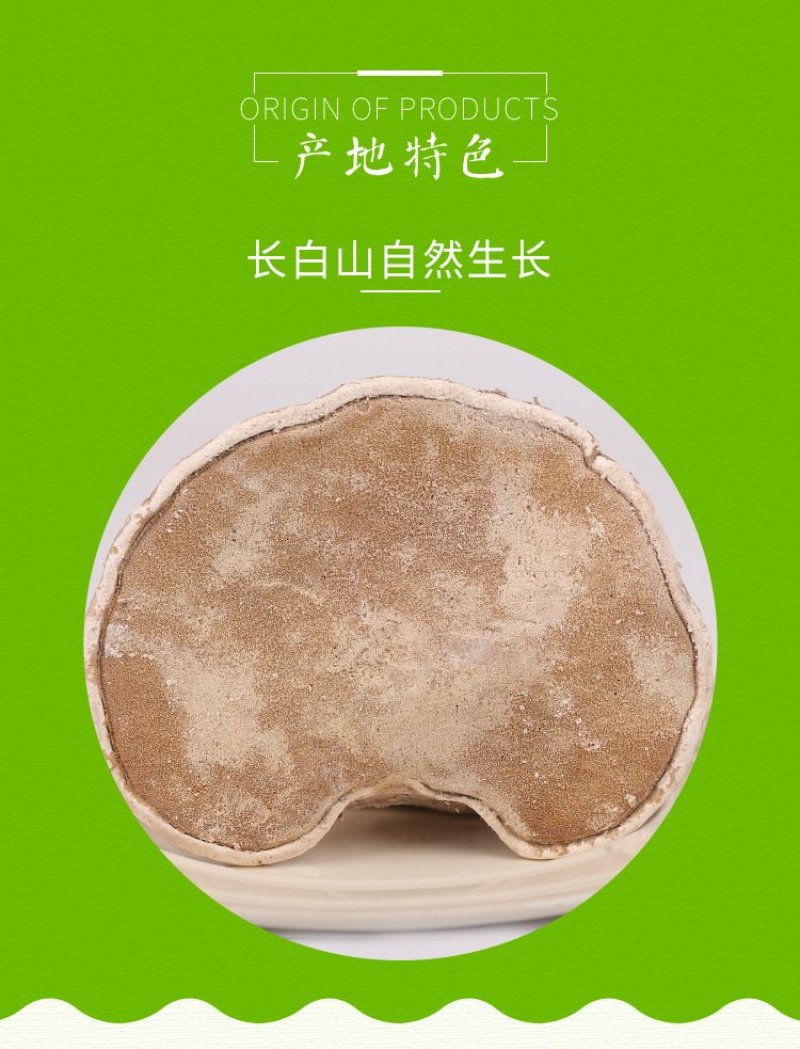 东北长白山特产白灵芝散装野生灵芝产地批发