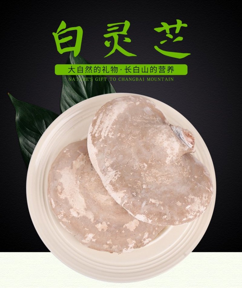 东北长白山特产白灵芝散装野生灵芝产地批发