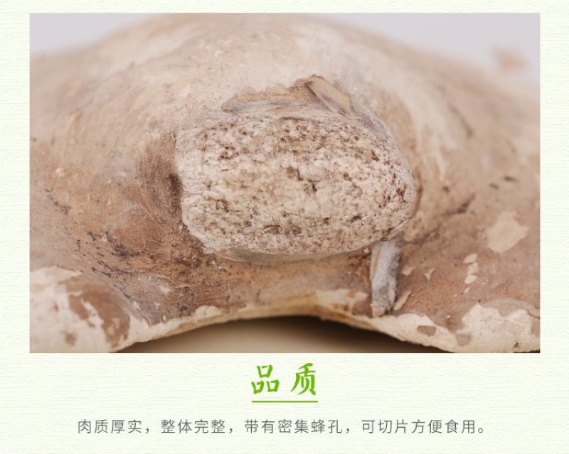 东北长白山特产白灵芝散装野生灵芝产地批发