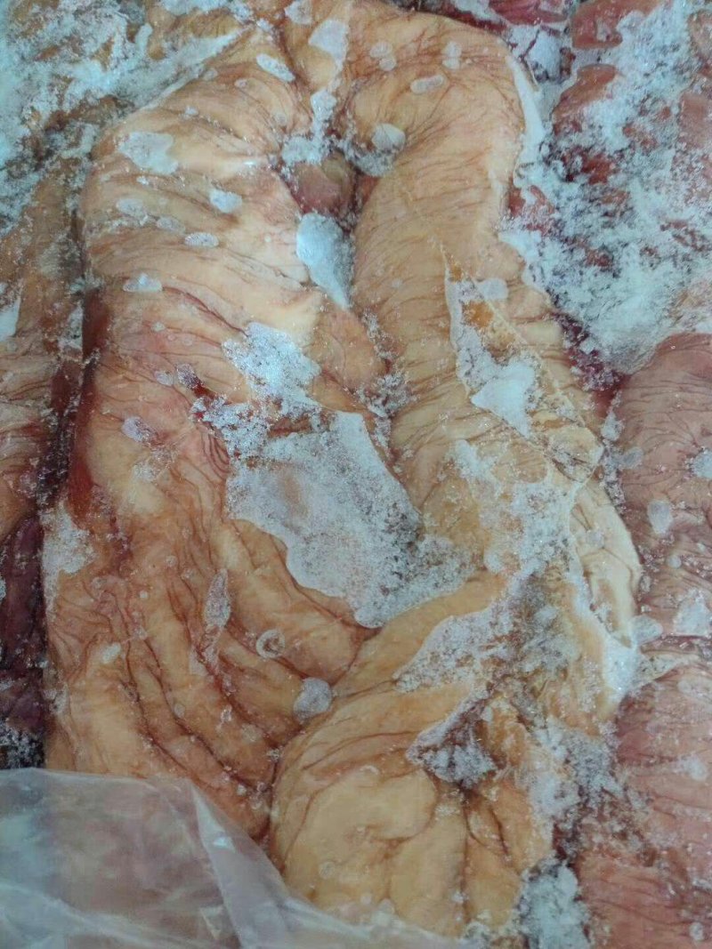 生鲜驴肠子马板肠，出6两