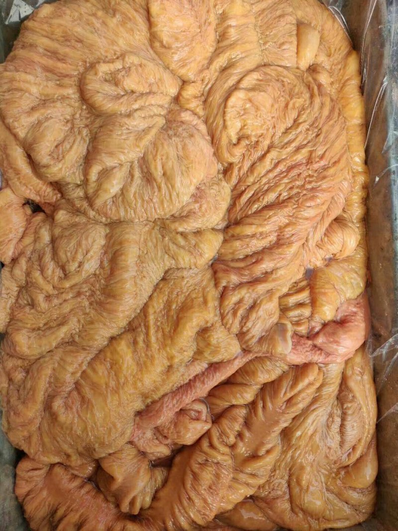 生鲜驴肠子马板肠，出6两