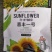 喜丰一号高产食葵种子，1500粒全新包装