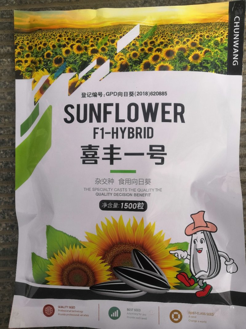 喜丰一号高产食葵种子，1500粒全新包装