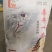 喜丰一号高产食葵种子，1500粒全新包装