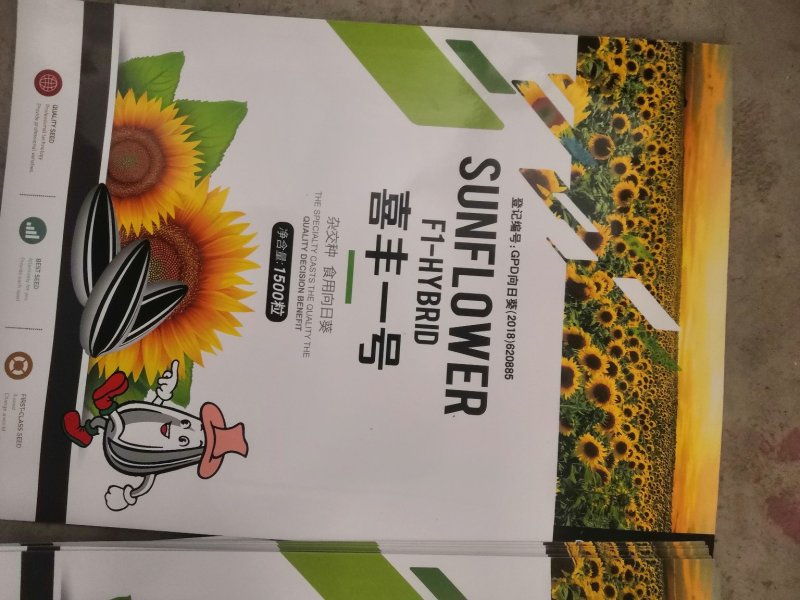 喜丰一号高产食葵种子，1500粒全新包装