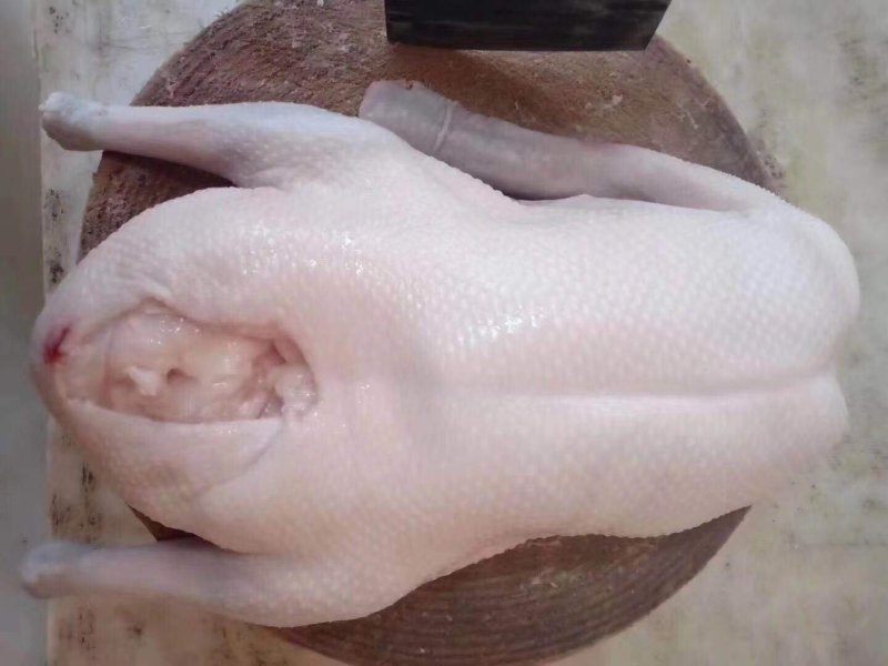 烧鹅专用清远黑棕鹅棚鹅肉鹅现宰打包专业供应酒店没有破皮