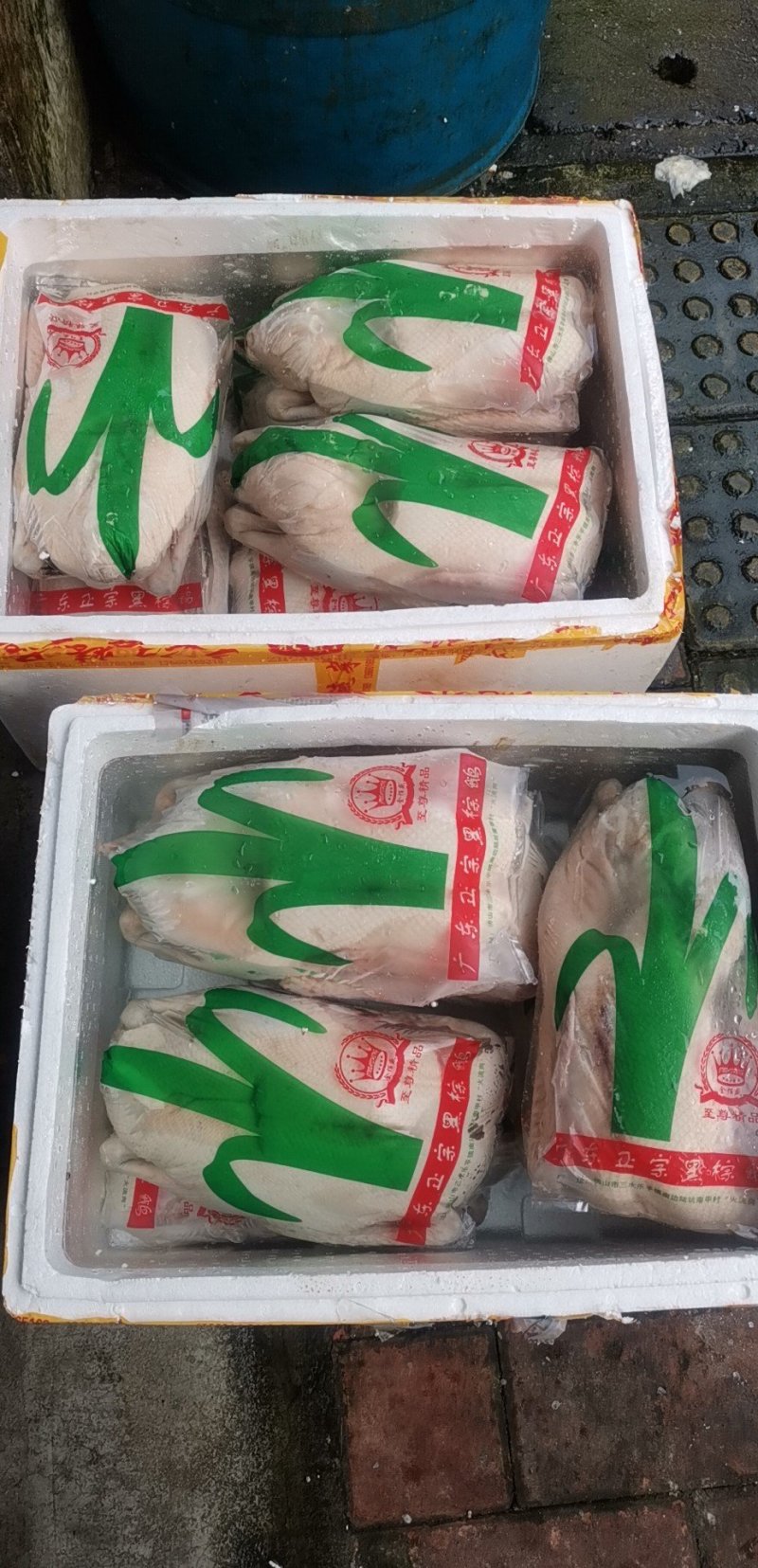 烧鹅专用清远黑棕鹅棚鹅肉鹅现宰打包专业供应酒店没有破皮