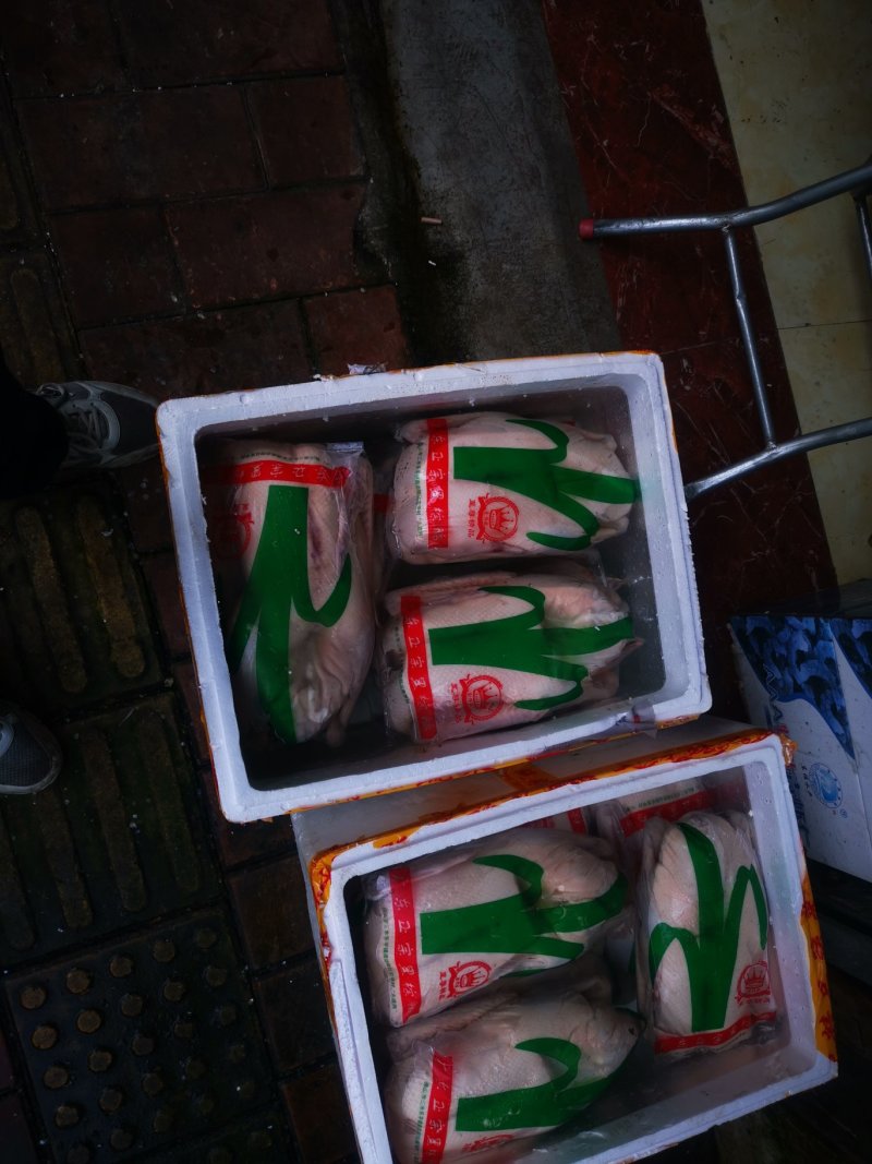 烧鹅专用清远黑棕鹅棚鹅肉鹅现宰打包专业供应酒店没有破皮