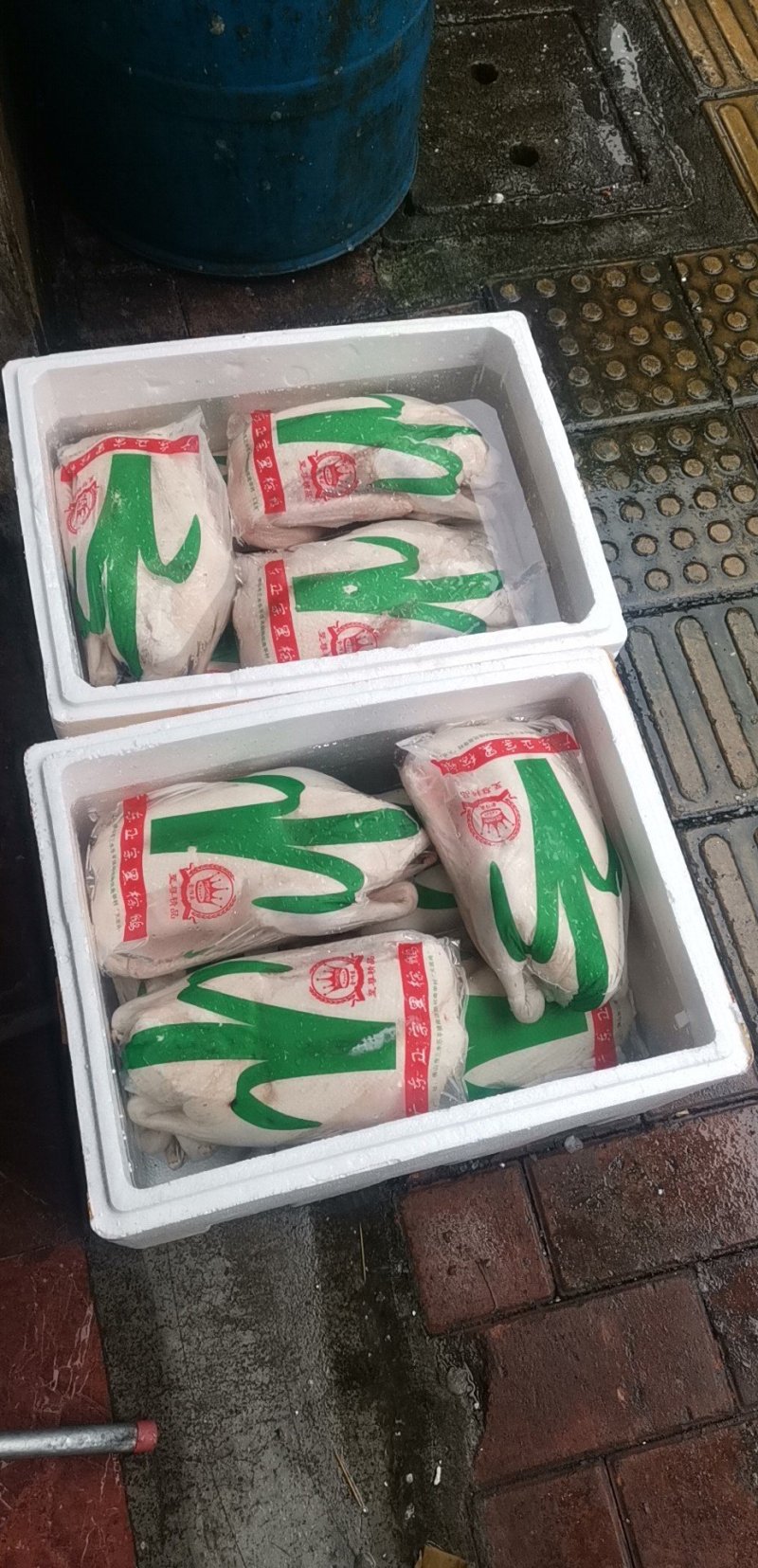 烧鹅专用清远黑棕鹅棚鹅肉鹅现宰打包专业供应酒店没有破皮