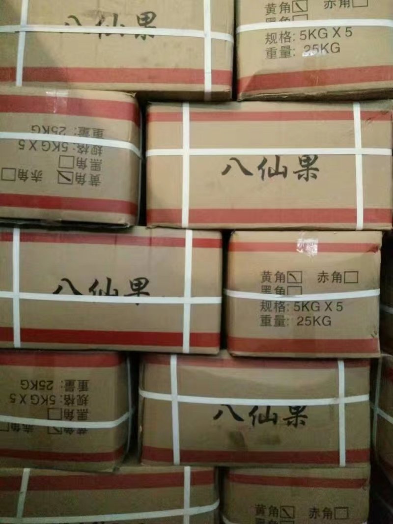 化州橘红，八仙果，气味香，厂价直销，长期供应