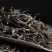 普洱茶黑条茶千家寨黑条茶
