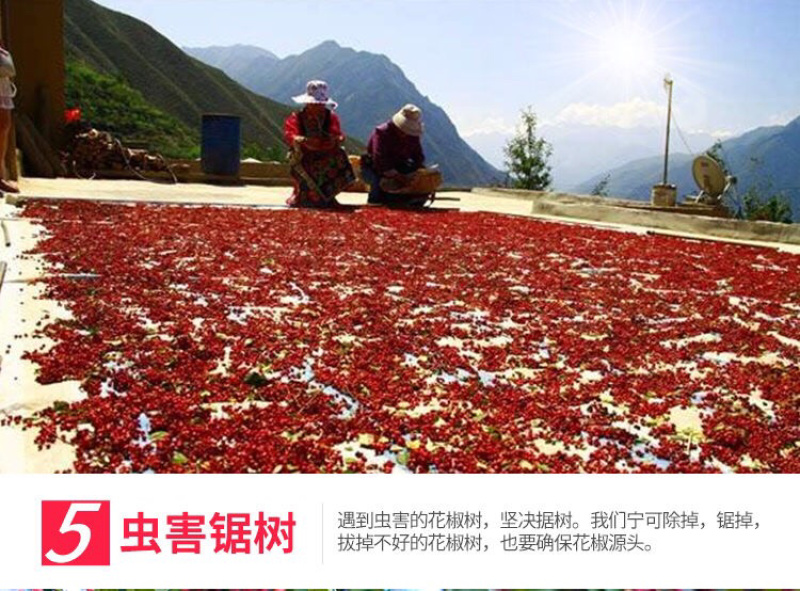 花椒大红袍花椒麻椒食用级花椒大料特麻花椒粒麻椒花椒粉