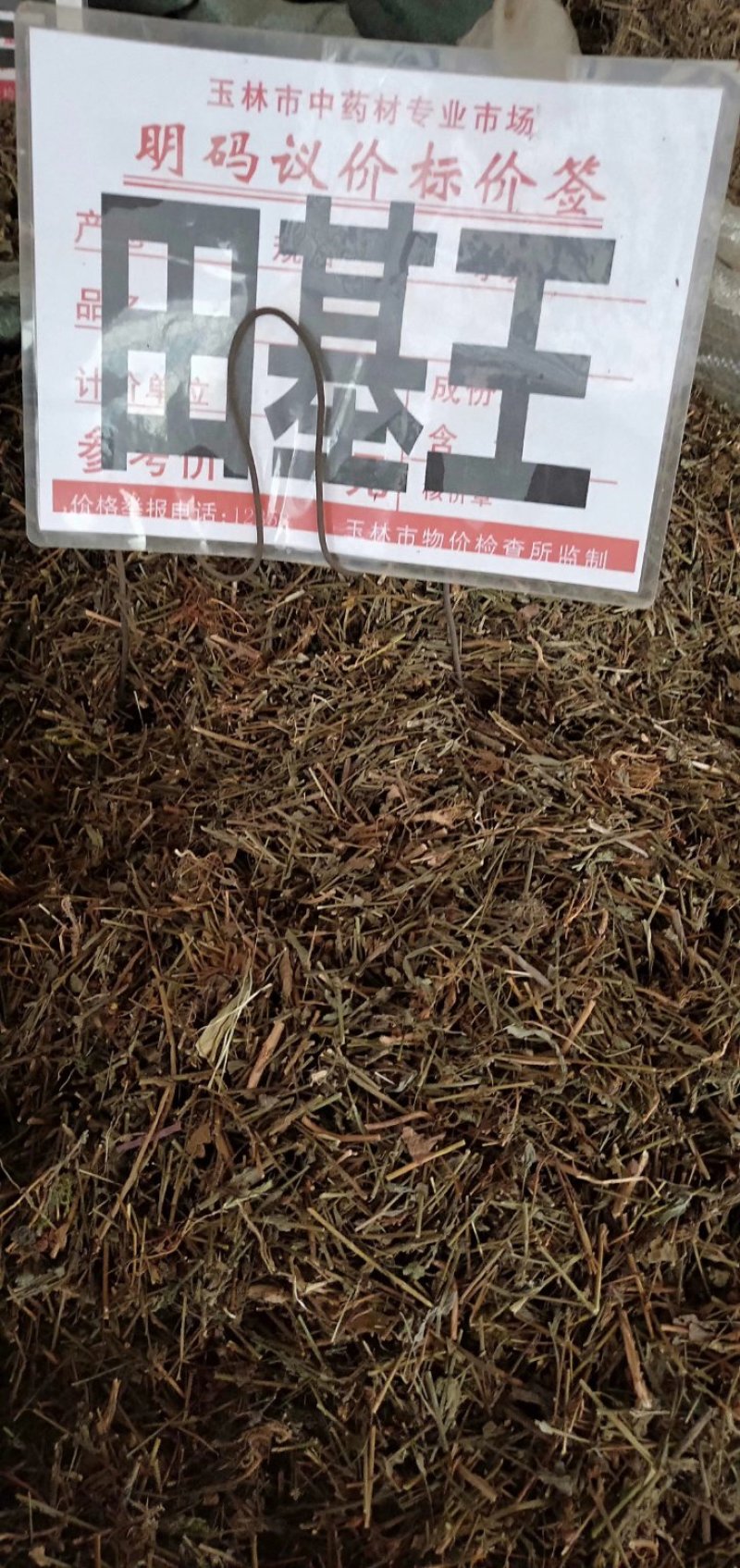 田基黄，广西田基黄统货，选货扎把货均有货供