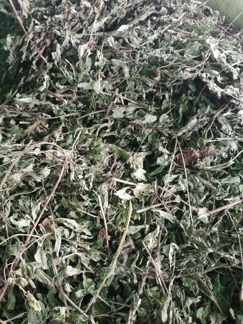 薄荷中药材薄荷叶无硫无添加色好味浓批发零售各种规格中药材