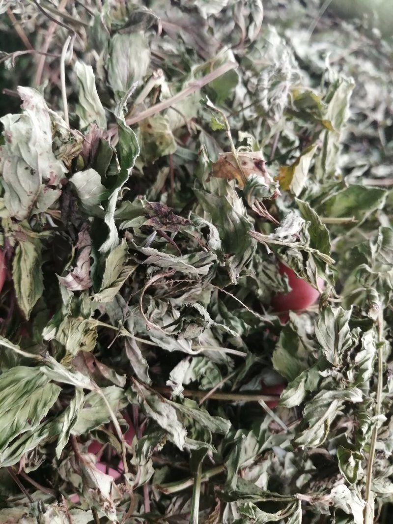 薄荷中药材薄荷叶无硫无添加色好味浓批发零售各种规格中药材