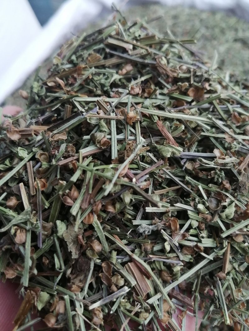 半枝莲中药材半枝莲经营各种规格中草药
