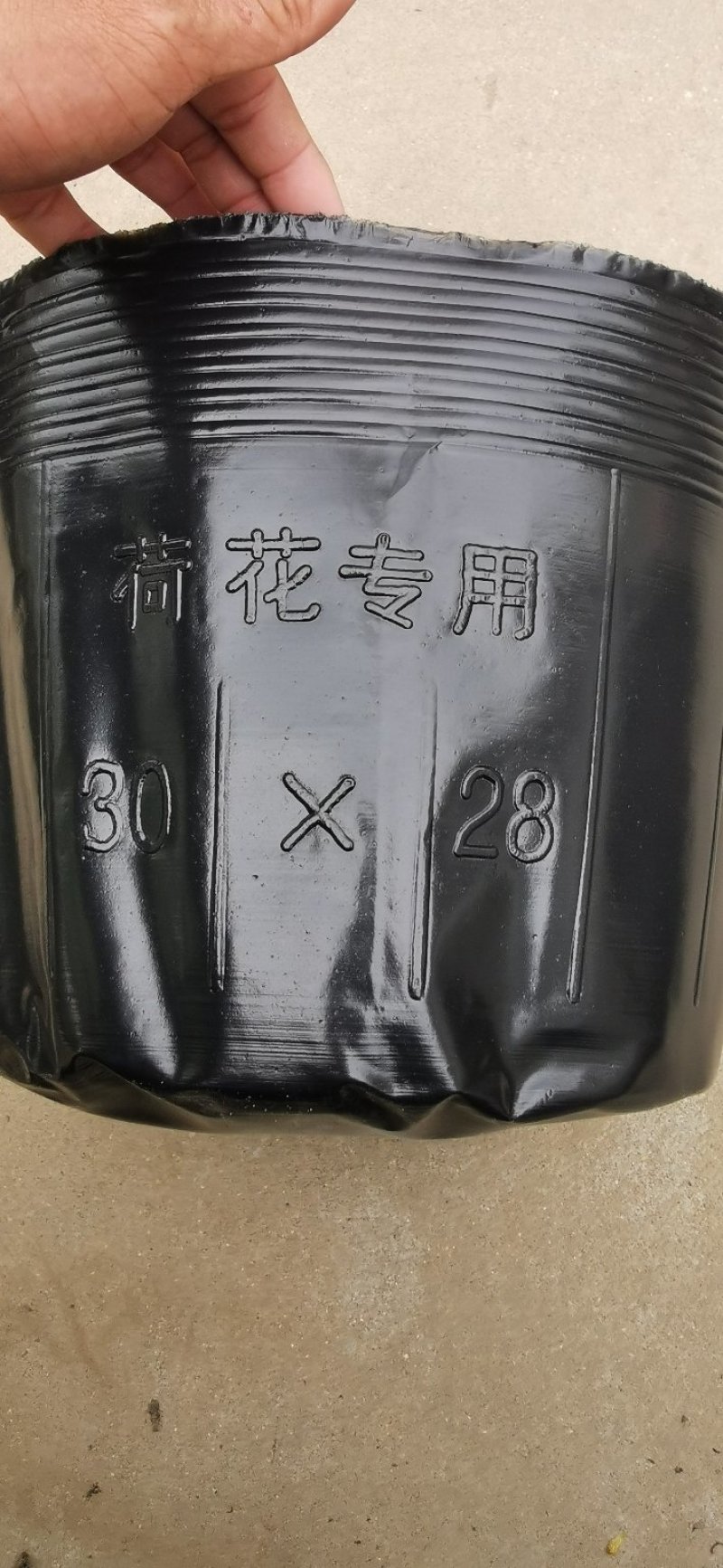 荷花盆盆栽荷花盆荷花专用盆