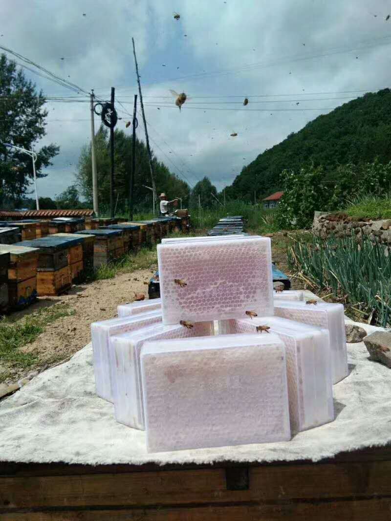 我们尼勒克唐布拉草原是黑锋原产地，是蜂蜜之乡，环境优美。